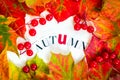 Autumn Letters and Border Frame of Colorful Autumn Leaves and Be