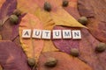 Autumn letters with yellow and red leaves and fall fruits. Minimal flat lay