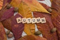 Autumn letters with yellow and red leaves and fall fruits. Minimal flat lay