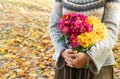 Autumn lifestyle with woman hands close up