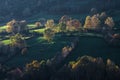 Autumn light on fields and forests