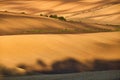 Autumn light and shadow in countryside Royalty Free Stock Photo