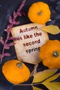 Autumn is like the second spring Royalty Free Stock Photo