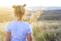 Beautiful girl holding spikes of wheat and ears of oats.Back view beautiful child on the autumn field ready for harvest. Royalty Free Stock Photo