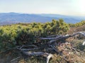 Autumn little mountains nature fareast hills Royalty Free Stock Photo