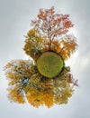 Autumn little planet - Globe with forest