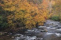 Autumn, Little River Rapids Tremont Royalty Free Stock Photo