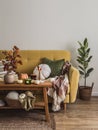 Autumn living room - yellow sofa with pillows and blankets, wooden oak bench with autumn flowers, pumpkins and lighted candles. Royalty Free Stock Photo