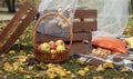 Autumn location with apples in the wicker basket in the yellow leaves