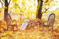 Autumn location, autumn decor Royalty Free Stock Photo