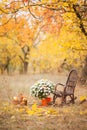 Autumn location, autumn decor, chairs Royalty Free Stock Photo