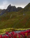 Autumn in Lofoten, near Myrland on FlakstadÃ¸y