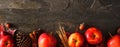 Autumn long border banner of apples, leaves, and fall decor, top view on a dark stone background Royalty Free Stock Photo