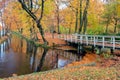 Autumn look in Dutch forest with wooden bridge and ditch Royalty Free Stock Photo