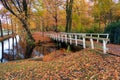 Autumn look in Dutch forest with wooden bridge and ditch Royalty Free Stock Photo
