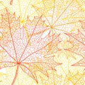 Autumn macro leaf of maple. Vector bacground