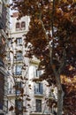 Autumn in Madrid, Spain