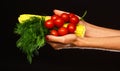 Autumn maize harvest idea. Composition of corn cob and tomatoes Royalty Free Stock Photo