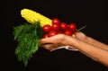 Autumn maize harvest idea. Composition of corn cob and tomatoes