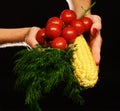 Autumn maize harvest idea. Female hands hold vegetables