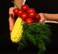 Autumn maize harvest idea. Female hands hold vegetables