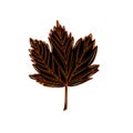 Autumn maple black leaf with orange outline Royalty Free Stock Photo