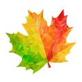 Autumn maple bright leaf in triangular low poly style isolated over white
