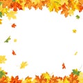 Autumn Maple Frame Royalty Free Stock Photo