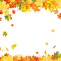 Autumn Maple Frame Royalty Free Stock Photo