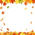 Autumn Maple Frame Royalty Free Stock Photo