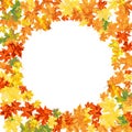Autumn Maple Frame Royalty Free Stock Photo