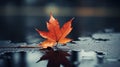 Autumn maple leaf on a black background. Autumn season concept. Generative AI Royalty Free Stock Photo