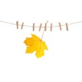 Autumn maple leaf clothes line pegs white background Royalty Free Stock Photo
