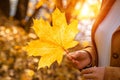 Autumn maple leaf in hands of woman outdoor. Scenery of autumn park on sunny day