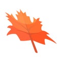 Autumn maple leaf icon, isometric style Royalty Free Stock Photo