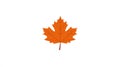 Orange Maple Leaf Symbol - Autumn Season Natural Element Icon Royalty Free Stock Photo