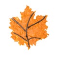 Autumn maple leaf made from plasticine