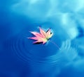 Autumn maple leaf on water Royalty Free Stock Photo