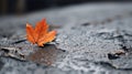 Autumn maple leaf on a wet wooden surface. Selective focus. Generative AI Royalty Free Stock Photo