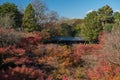 Autumn maple leave festival in Kyoto, Japan. Royalty Free Stock Photo