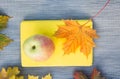 Autumn maple leaves with apple and book