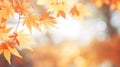 Autumn maple leaves background with bokeh effect - vintage filter Generative AI