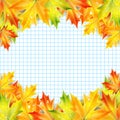 Autumn maple leaves on a background of notebook sheet