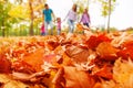 Autumn maple leaves close-up and family on back