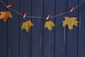 Autumn maple leaves on a clothes line Royalty Free Stock Photo