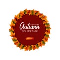 Autumn maple leaves fall decoration with white circle from top view. sale offer template..vector illustration. Royalty Free Stock Photo