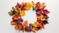 Autumn maple leaves falling frame Royalty Free Stock Photo