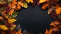 Autumn maple leaves falling frame Royalty Free Stock Photo