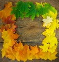 Autumn maple leaves falling frame Royalty Free Stock Photo