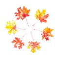 Autumn maple leaves imprint watercolor